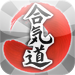 Aikido Techniques